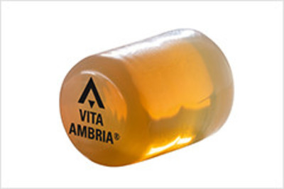 VITA AMBRIA - Press system