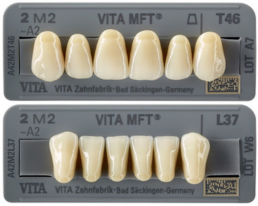MFT zobje - Classic A1-D4