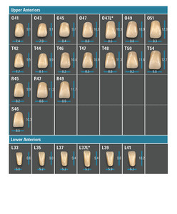 VITAPAN PLUS teeth
