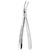 Forceps - upper roots
