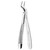 Forceps - upper roots
