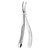 Forceps - upper roots