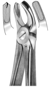 fig.17, English pattern, zgornji kočniki, desno