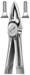 fig.29, English pattern, zgornje koreninske