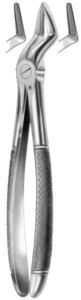 fig.51, English pattern, zgornje koreninske