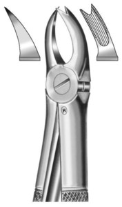 fig.89, English pattern, zgornji molarji, desno