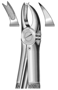 fig.90, English pattern, zgornji molarji, levo