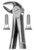 fig.13, English pattern, spodnji premolarji