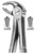 fig.22, English pattern, spodnji molarji
