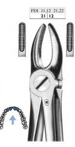 fig.2, English pattern, z oprijemnim profilom, zgornji lateralci in očnjaki