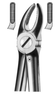 fig.7, English pattern, z oprijemnim profilom, zgornji premolarji