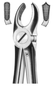 fig.17, English pattern, z oprijemnim profilom, zgornji molarji, desno
