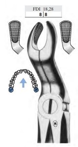 fig.67, English pattern, z oprijemnim profilom, zgornji tretji molarji