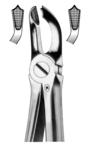 fig.79, English pattern, z oprijemnim profilom, spodnji tretji molarji