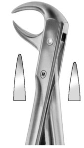 GRIFFI, fig.86A, English pattern, spodnji molarji