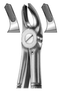 fig.39A, English pattern, otroške, zgornji molarji
