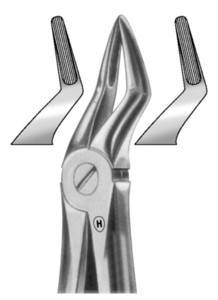 fig.51S, English pattern, otroške, zgornje koreninske