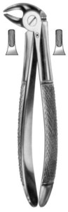 fig.13S, English pattern, otroške, spodnji premolarji