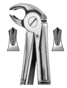 fig.22S, English pattern, otroške, spodnji molarji