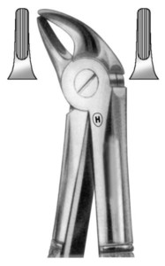 fig.38, English pattern, otroške, spodnji sekalci in očnjaki