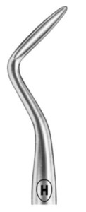 Flohr, fig. 2(L), 3 mm, donje korijenske