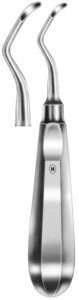 Miller-Apexo, fig. 72, 2 mm