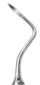 Heidbrink, donje korijenske, fig. 3(R)