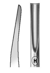 Coupland, fig. 2, 3,5 mm