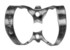 regular, br. 9, labijalno